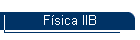 Fsica IIB