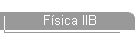 Fsica IIB