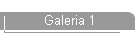 Galeria 1