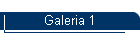 Galeria 1