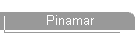 Pinamar